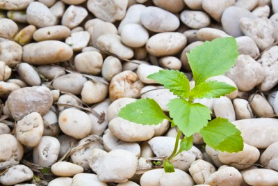 To get more clients, keep developing more of who you are