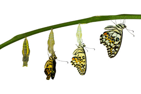 The transformation you offer is related to the unknown problem.